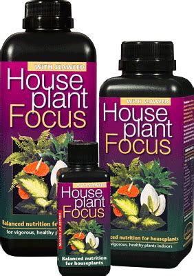 GT Houseplant Focus 100ml Bjarne s frø og planter