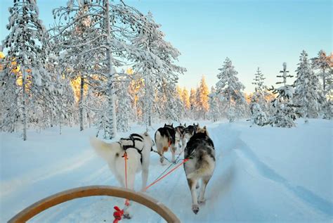 Que faire à Tromsø Mon top 15 des activités à ne pas manquer