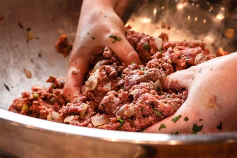 Violinista Cuaderno Ayudante Como Se Prepara La Carne Para Hamburguesa