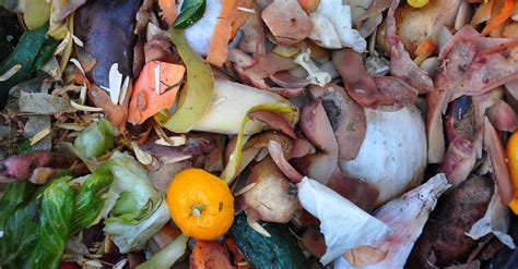 Ces Agriculteurs Recyclent Les Déchets Alimentaires Pour Produire De L