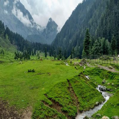 Pahalgam : History, Sightseeing, How To Reach & Best Time To Visit | Adotrip