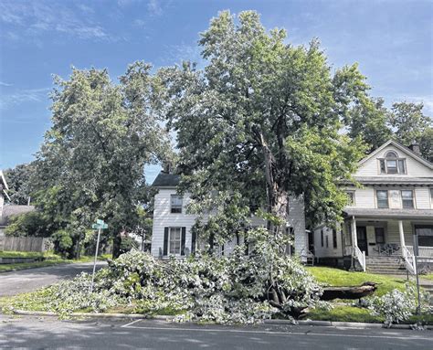 Storm causes tree damage - Wilmington News Journal