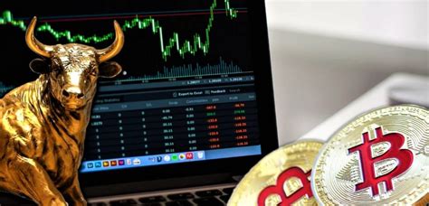 crypto bull run  teknobu