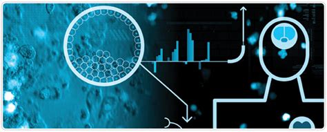 Stem Cell Research | LSR | Bio-Rad