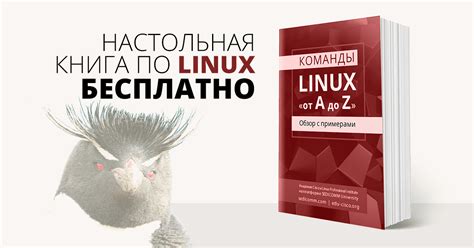Команды LINUX «от A до Z» — настольная книга с примерами