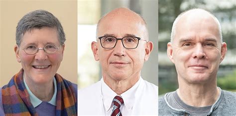 Fünf Ulmer Forschende zählen zu den Highly Cited Researchers