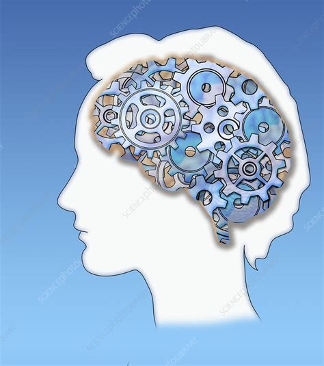 Brain With Cogs Conceptual Stock Image C030 6096 Science Photo