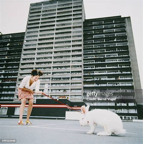 Dragging Woman Photos And Premium High Res Pictures Getty Images