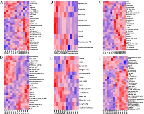 Heatmaps Of Differential Abundant Metabolites Significantly