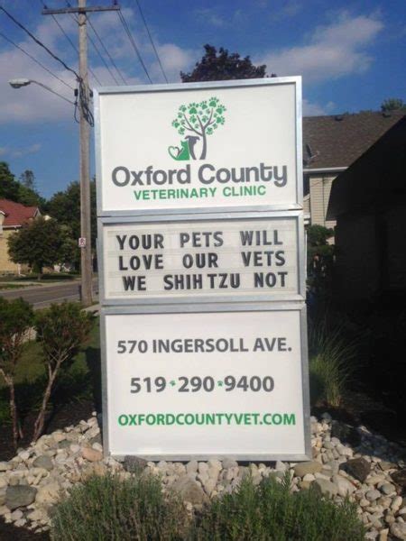 Funny Vet Clinic Names And Signs Which Are Ridiculously Amusing