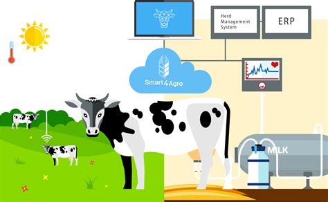 Dairy Production Analytics Sustainable Dairy Farm Through Data Analytics