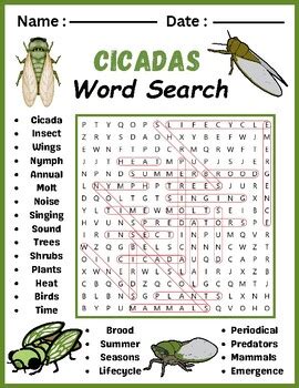 CICADA EMERGENCE Word Search Puzzle Worksheet Activity By ELKS ART STUDIO