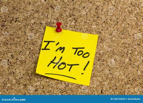 Im Too Hot Body Exercise Workout Beautiful Woman Stock Image Image Of