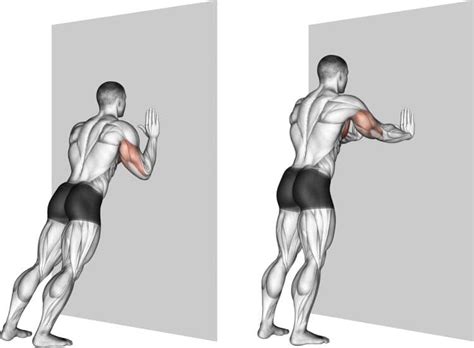 Wall Push Ups Strengthen Your Chest Arms And Core Muscles Fitness Volt