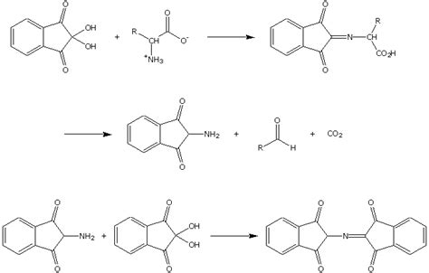 Detachment and indentify of organic compound: Ninhydrin Test for amino acid