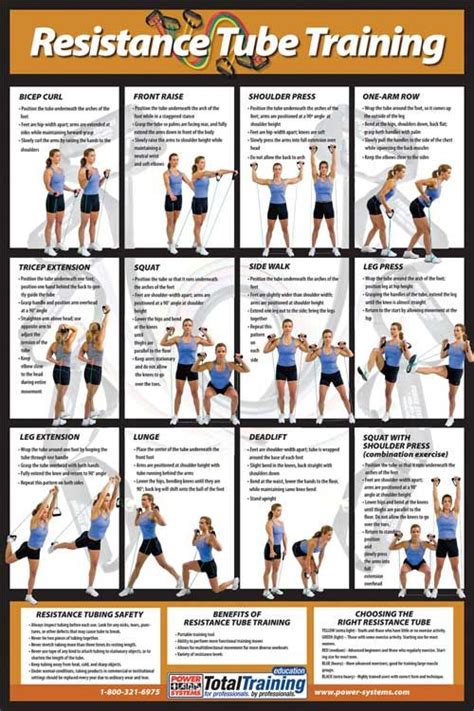 Printable Gold S Gym Xrs Exercise Chart