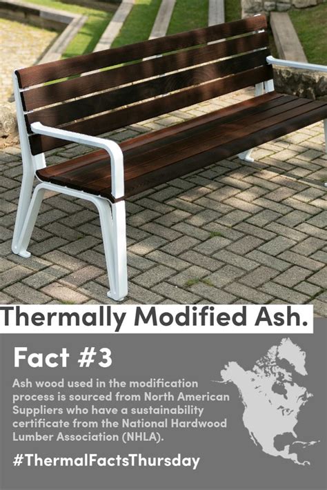 Thermally Modified Ash Maglin Iconic Collection Concrete Bench Outdoor Urban Furniture