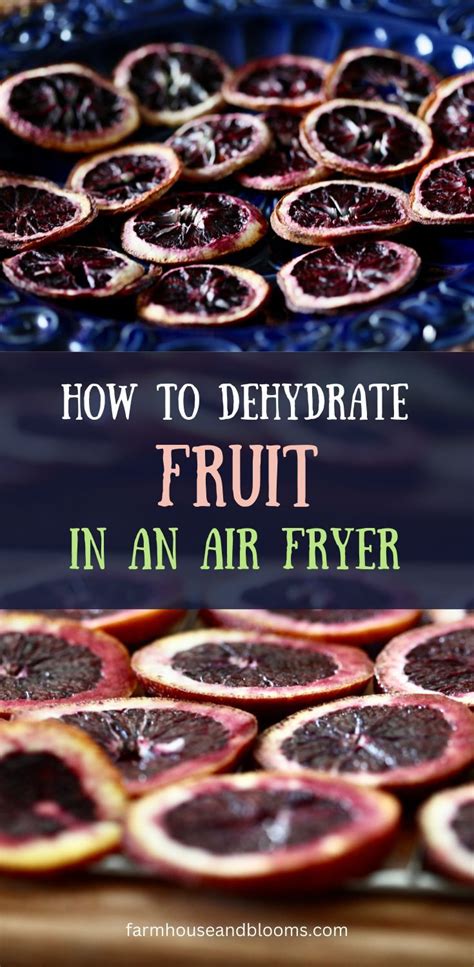 How To Dehydrate Fruit In An Air Fryer Recipe Dehydrated Fruit One