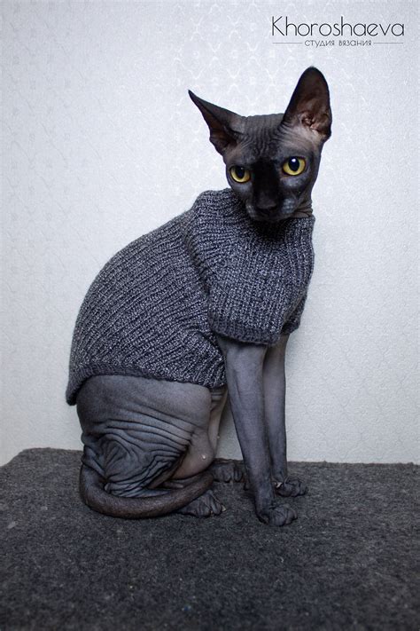 Cat Blackwhite Sweater Size M Knitting Pattern Pdf The Etsy In 2020