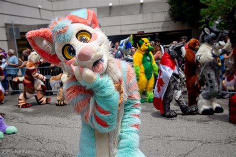 anthrocon   twitter   attendee experience survey