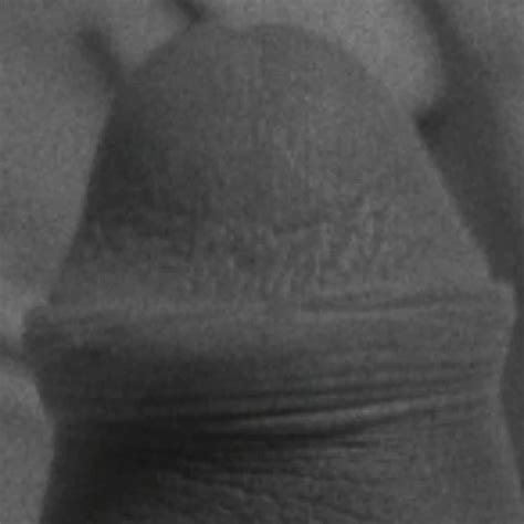 Top Gay Amateur Porn Video Creators Of Homemade Sex 74 XHamster