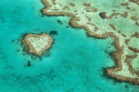 Heart Reef With Coral Edge Great Barrier Reef Photographic Print Nature