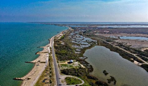 Get To Know Texas Gulf Coastal Plains