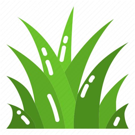 Field Grass Lawn Meadow Plant Icon Download On Iconfinder