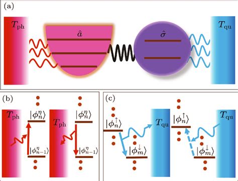 Chin Phys Lett Managing Quantum Heat Transfer