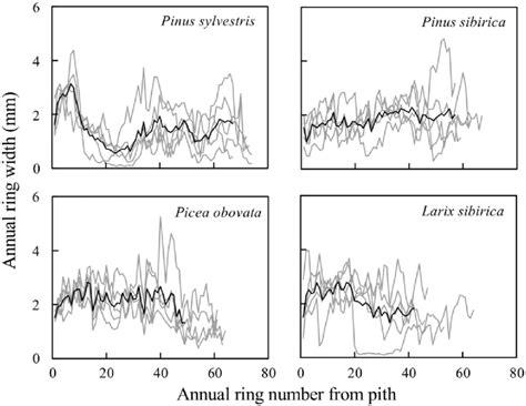 Radial Variations Of Annual Ring Width In The Sample Trees Solid Lines