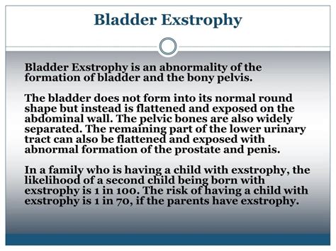 PPT - Bladder Exstrophy PowerPoint Presentation - ID:7932163