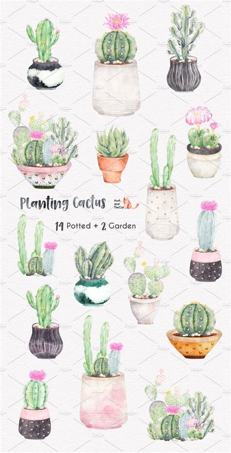 Planting Cactus Watercolor | Watercolor cactus, Succulents drawing ...