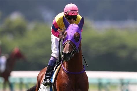 菊花賞2019予想／後編【注目馬公開】ヴェロックス、強力ライバル不在でg1奪取のチャンス到来！注目は長距離適性抜群のアノ伏兵！ レッド