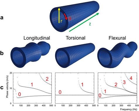 Longitudinal Direction Of A Cylinder