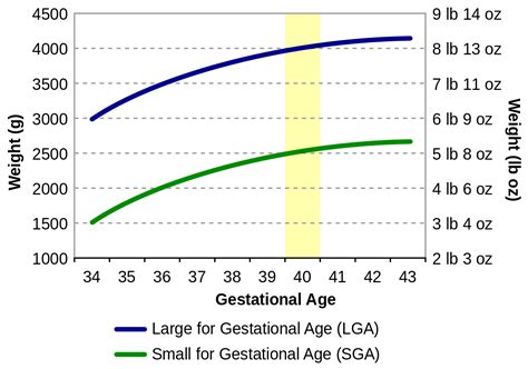 Gestational Age Assessment Treatment Management Point Of Care