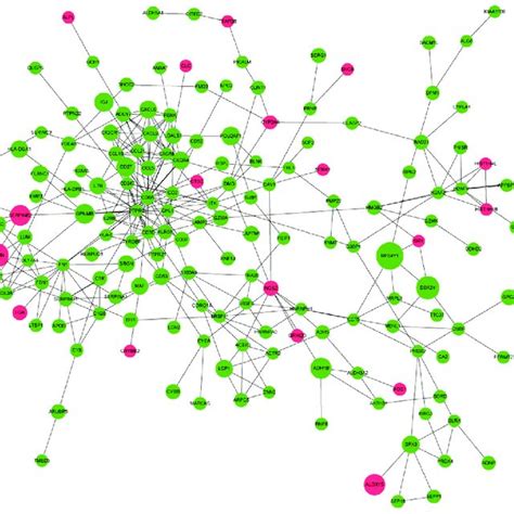 Protein Protein Interaction Network Of Degs Red Node Represents