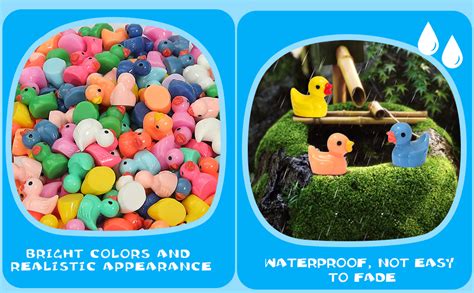 Amazon Rachan Pcs Mini Ducks Bulk Resin Duck Figurines For