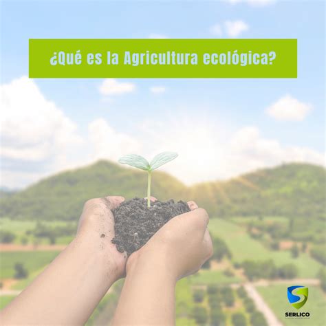 Qué es la agricultura ecológica Serlico