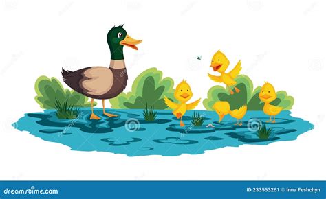 Mother Duck And Little Ducklings Walking Or Swims On The Water Cartoon