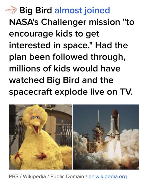 Was Big Bird Supposed to Be on the Challenger? – Truth or Fiction?