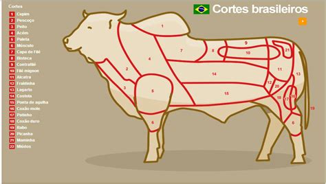 Cortes Bovinos Brasileiros E Tipos De Preparo Receitas Da Erika De