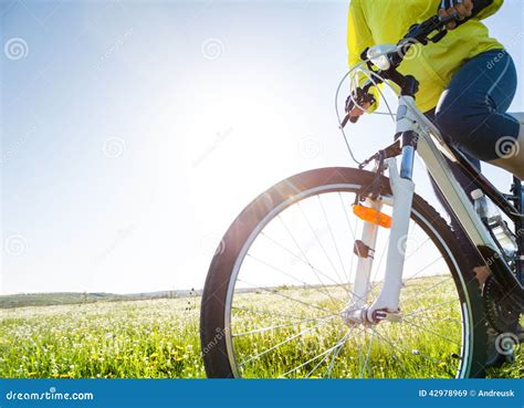 Cycling At Summer Stock Image Image Of Bicycle Adventure 42978969