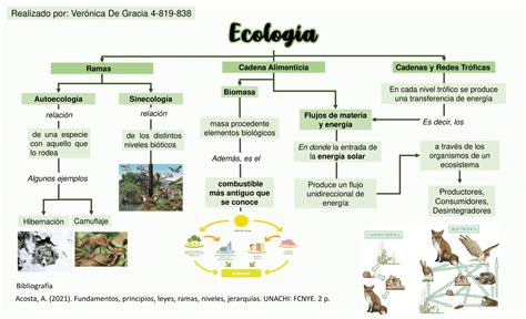 Mapa Mental Sobre Ecologia Revoeduca