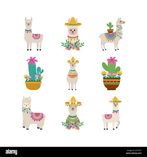 Llama Adorable Animal Hat Flowers Stock Vector Image And Art Alamy