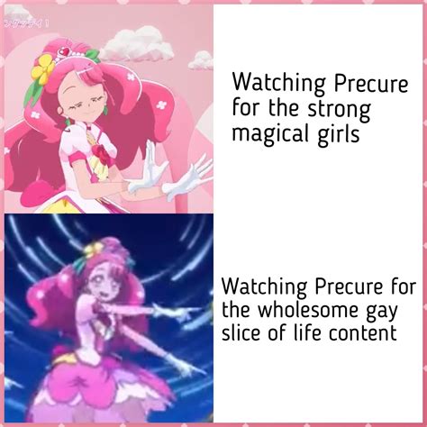 The real reason we watch Precure (I’m bad at memes, somebody make a ...