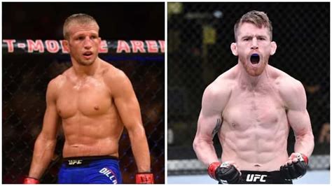 TJ Dillashaw Vs. Cory Sandhagen Set For May 8 - LowKickMMA.com