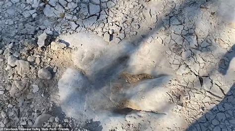 113 Million Year Old Dinosaur Tracks Surface In Wake Of Texas Drought