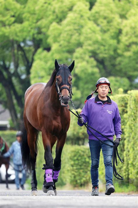 【日本ダービー】無敗の2冠を目指すジャスティンミラノは7枠15番 陣営「周りの様子をみながらレースを」 Umatoku 馬トク