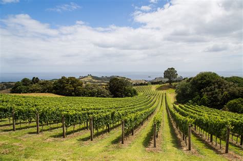 New Zealand Agriculture Industry