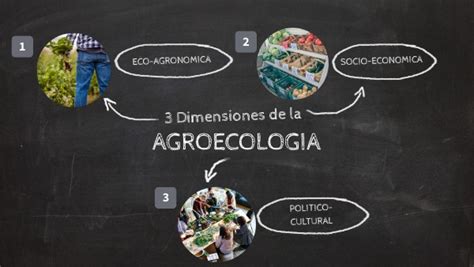 DIMENSIONES DE LA AGROECOLOGIA